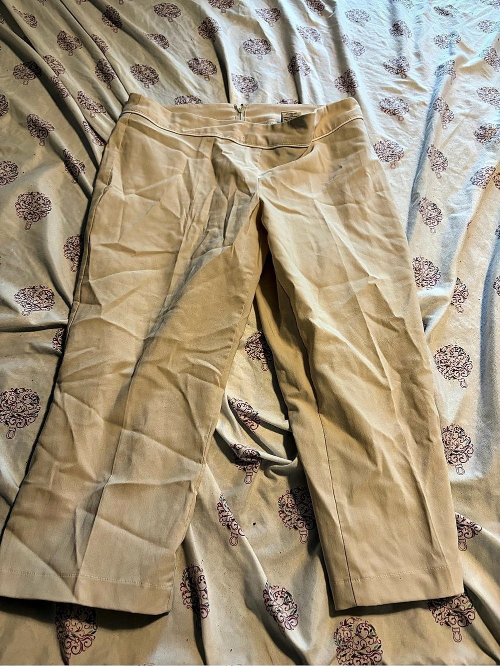 SUZY Straight Capri  in Beige Size 12